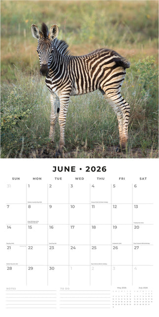 Red Robin Baby Animals Kalender 2026