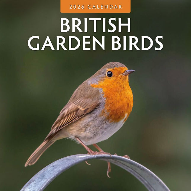 Red Robin British Garden Birds Kalender 2026