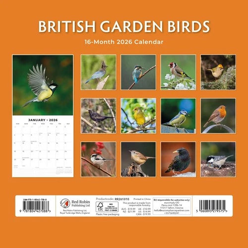 Red Robin British Garden Birds Kalender 2026