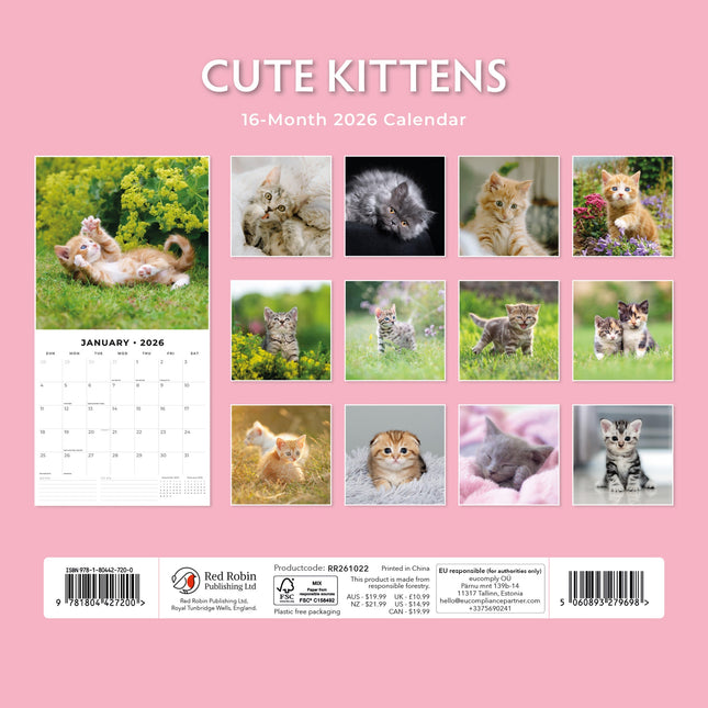 Red Robin Cute Kittens Kalender 2026