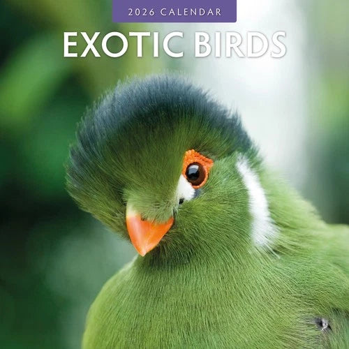 Red Robin Exotic Birds Kalender 2026