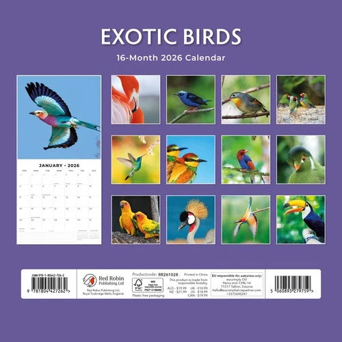 Red Robin Exotic Birds Kalender 2026
