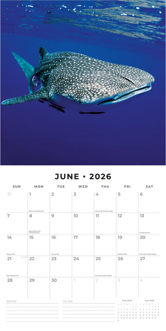 Red Robin Haaien Kalender 2026