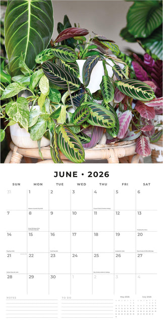 Red Robin House Plants Kalender 2026