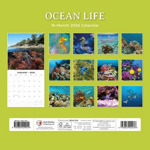Red Robin Ocean Life Kalender 2026
