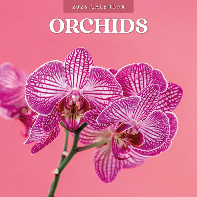 Red Robin Orchidee Kalender 2026