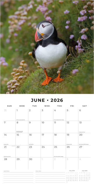 Red Robin Papegaaiduiker Kalender 2026