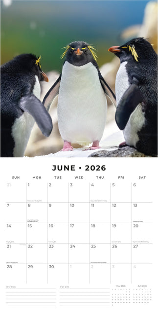 Red Robin Pinguin Kalender 2026