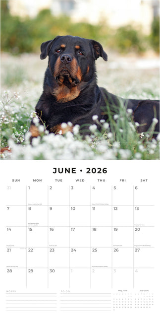 Red Robin Rottweiler Kalender 2026