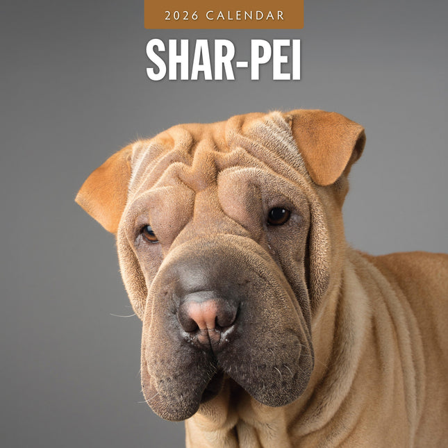 Red Robin Shar Pei Kalender 2026