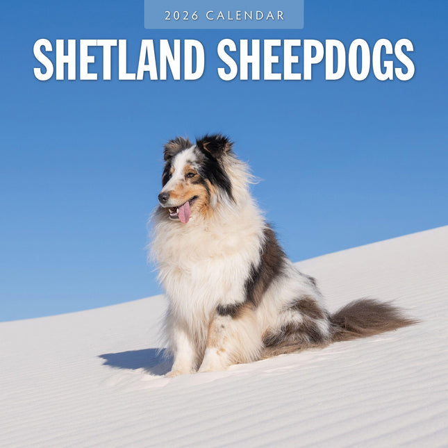 Red Robin Shetland Sheepdog Kalender 2026