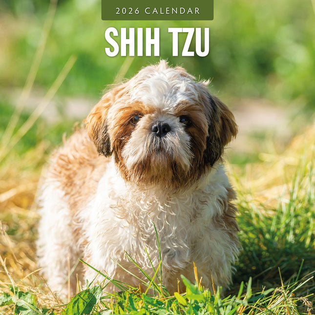 Red Robin Shih Tzu Kalender 2026