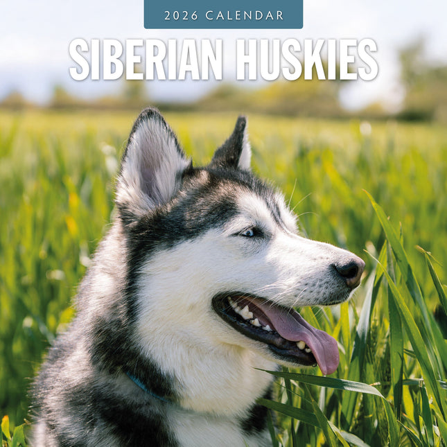 Red Robin Siberian Husky Kalender 2026