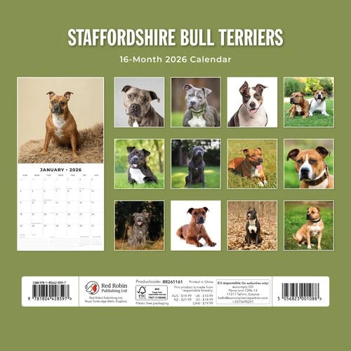 Red Robin Staffordshire Bull Terrier Kalender 2026