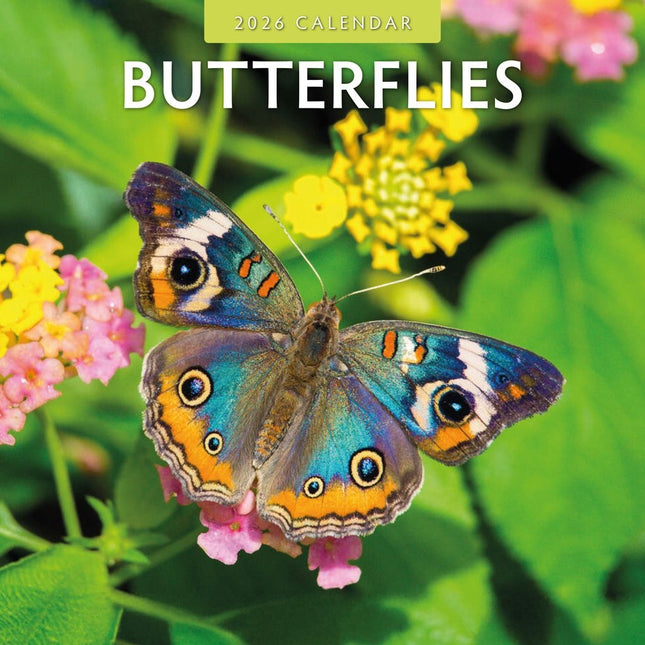 Red Robin Vlinder Kalender 2026