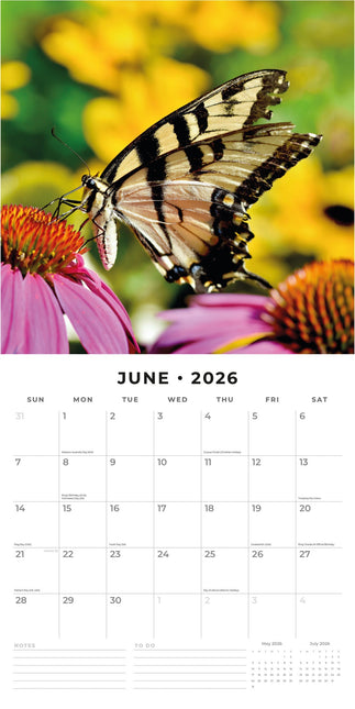 Red Robin Vlinder Kalender 2026