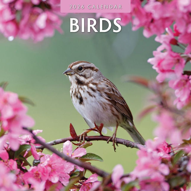 Red Robin Vogels Kalender 2026