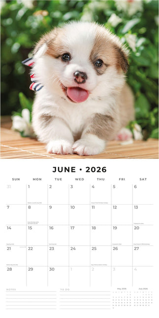 Red Robin Welsh Corgi Pembroke Kalender 2026