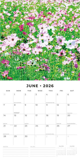 Red Robin Wilde Bloemen Kalender 2026