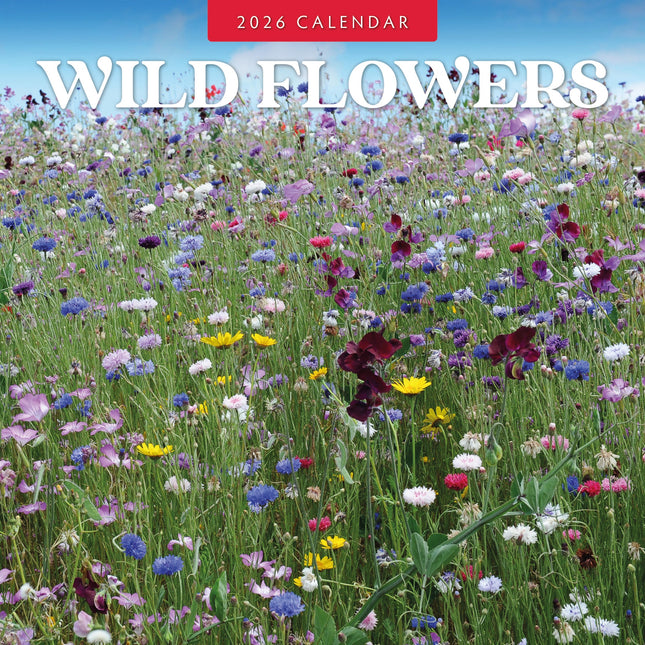 Red Robin Wilde Bloemen Kalender 2026