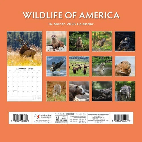 Red Robin Wildlife of America Kalender 2026