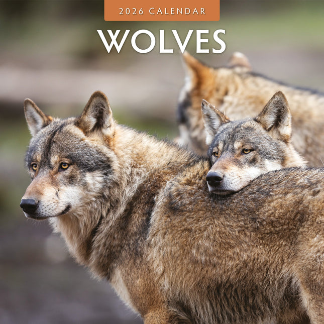 Red Robin Wolven Kalender 2026