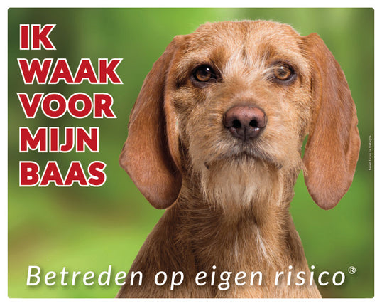 Stickerkoning Basset Fauve de Bretange Waakbord