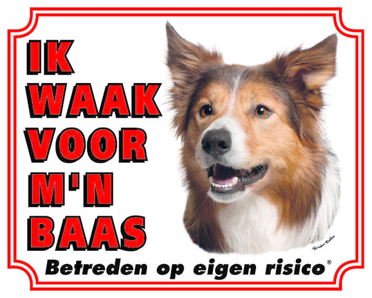 Stickerkoning Border Collie Waakbord - Ik waak voor mijn Baas
