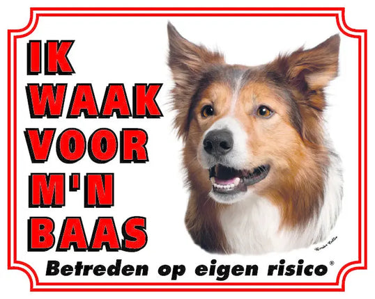 Stickerkoning Border Collie Waakbord - Ik waak voor mijn Baas