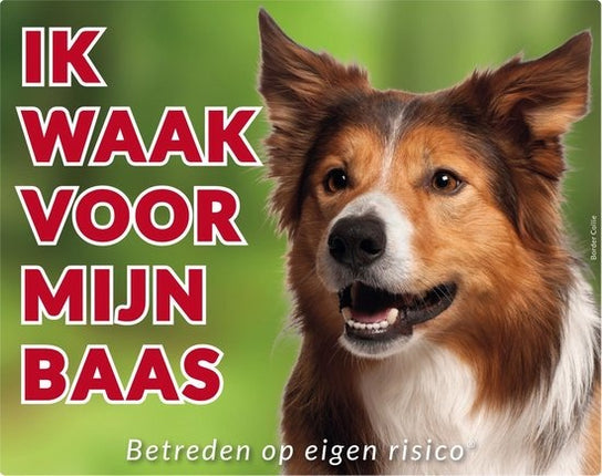 Stickerkoning Border Collie Waakbord - Ik waak voor mijn Baas