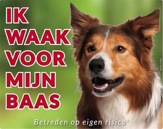 Stickerkoning Border Collie Waakbord - Ik waak voor mijn Baas
