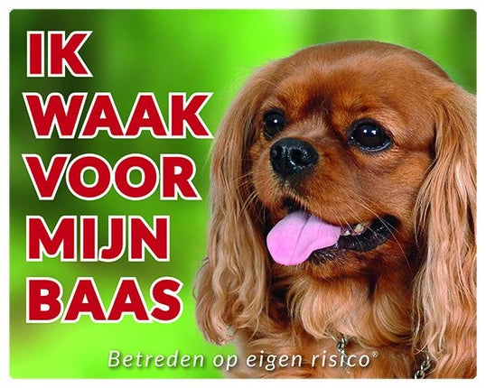 Stickerkoning Cavalier King Charles Spaniel Waakbord - Ruby