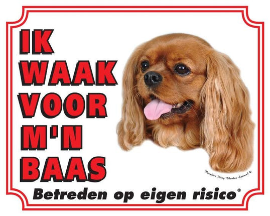 Stickerkoning Cavalier King Charles Spaniel Waakbord - Ruby