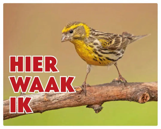 Stickerkoning Europese Kanarie Waakbord - Hier Waak Ik