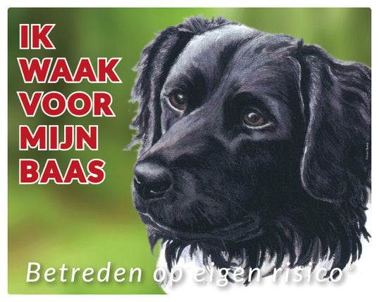 Stickerkoning Friese Stabij Waakbord