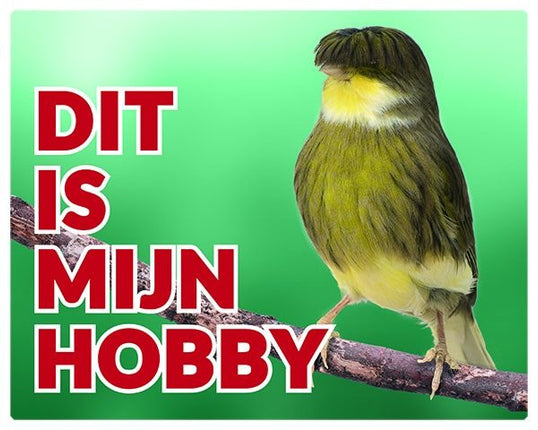 Stickerkoning Gloster Kanarie Waakbord