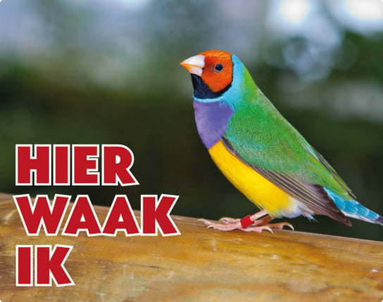 Stickerkoning Gouldamadine Waakbord