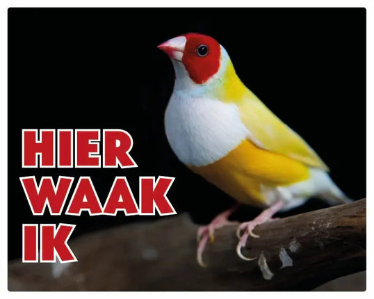 Stickerkoning Gouldamadine Waakbord