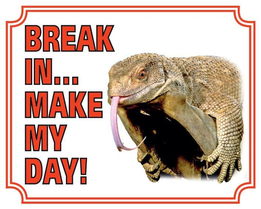 Stickerkoning Hagedis Waakbord - Break in make my day