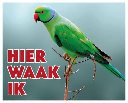 Stickerkoning Halsbandparkiet Waakbord - Hier Waak Ik