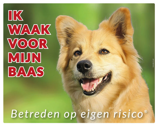 Stickerkoning IJslandse Hond Waakbord