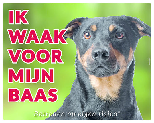 Stickerkoning Jack Russell Terrier Waakbord - Ik waak voor mijn baas