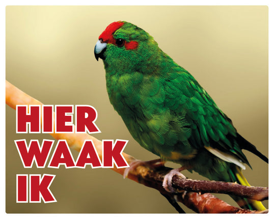 Stickerkoning Kakariki Waakbord - Hier Waak Ik
