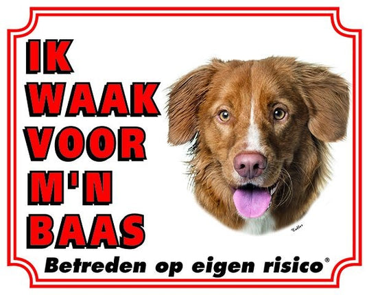 Stickerkoning Nova Scotia Duck Tolling Retriever Waakbord