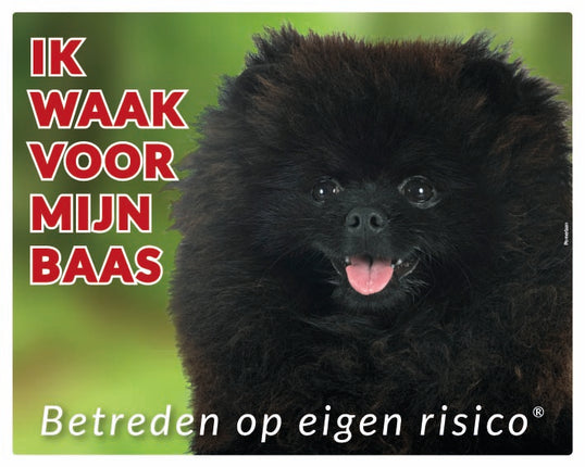 Stickerkoning Pomeriaan Zwart Waakbord