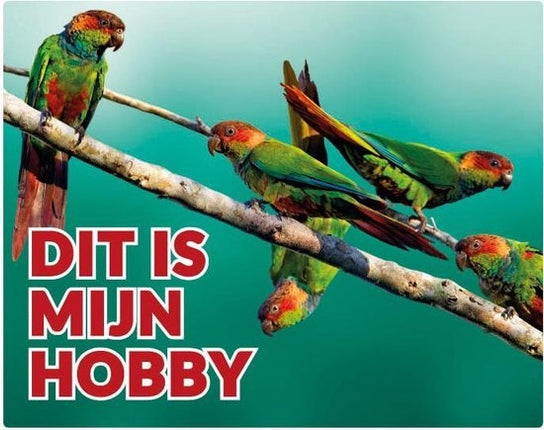 Stickerkoning Pyrrhura Waakbord - Dit is mijn Hobby