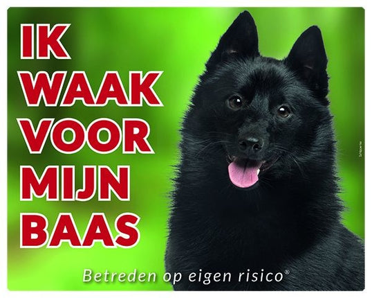 Stickerkoning Schipperke Waakbord - Ik waak voor mijn baas