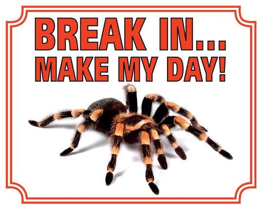 Stickerkoning Tarantula Waakbord - Break in make my Day