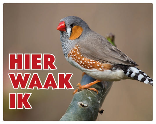 Stickerkoning Zebravink Waakbord - Hier Waak Ik