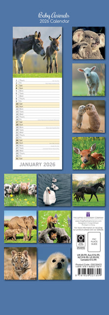 The Gifted Stationary Baby Animals Slimline Kalender 2026